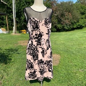 Women’s Dress Size 14 Enfocus Studio Sheer Black and Pink With Black Velvet Rose